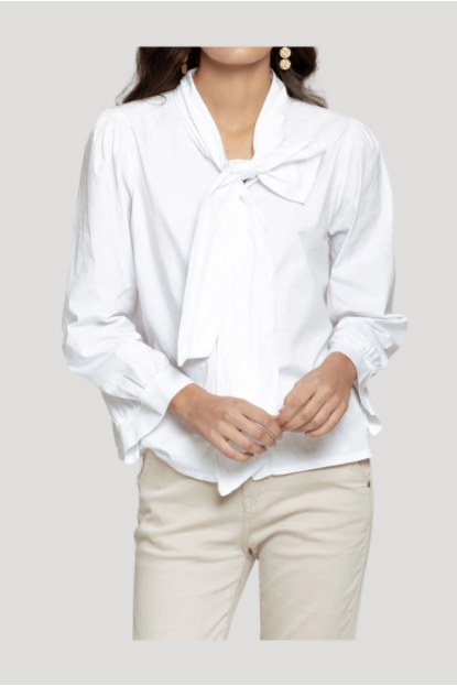 CAMISA LAZO